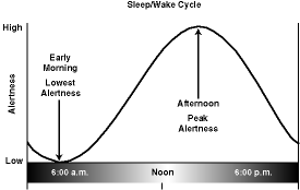 Sleep/Wake Cycles - Alertness